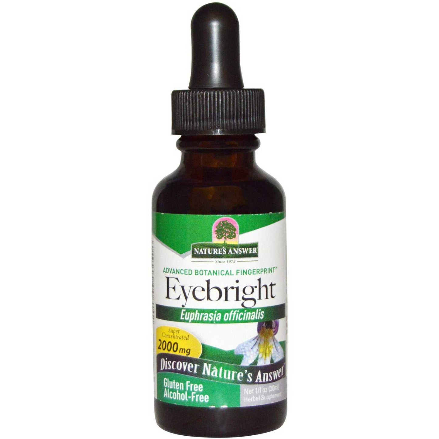 Nature's Answer Eyebright Alcohol-Free Extract, 30 ml.-NaturesWisdom