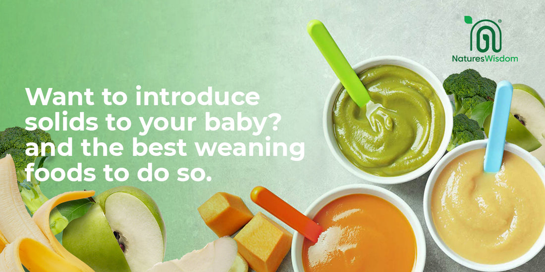 How to introduce solids to your baby with the best weaning foods.