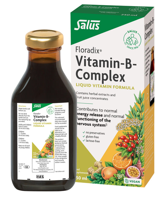 Salus Haus Floradix Vitamin B Complex, 250ml