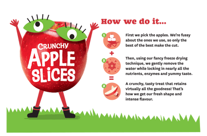 Kiwigarden Crunchy Apple Slices, 9g