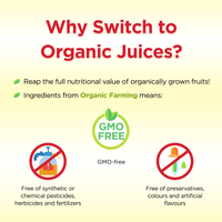 [Case of 24] Hollinger Organic Red Grape, 200ml