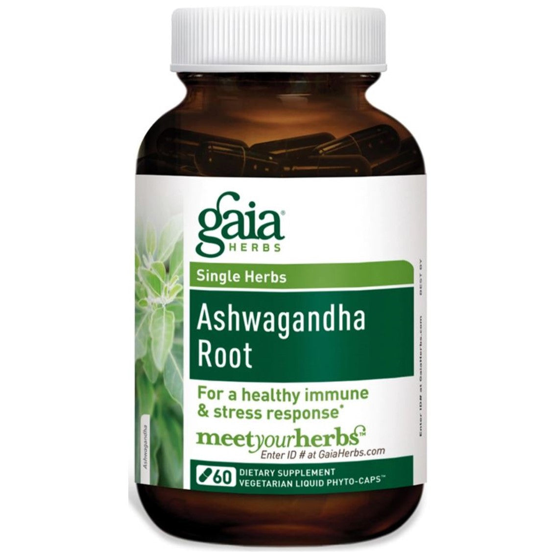 Gaia Herbs Ashwagandha Liquid Phyto-Caps, 60 caps.-NaturesWisdom