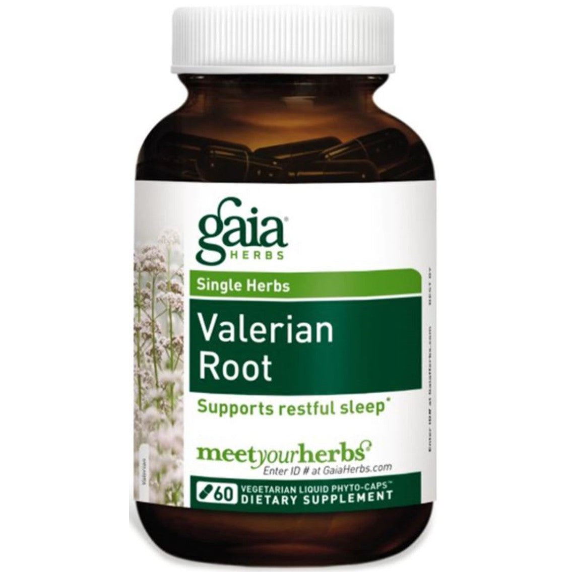 Gaia Herbs Valerian Root Liquid Phyto-Caps, 60 caps.-NaturesWisdom