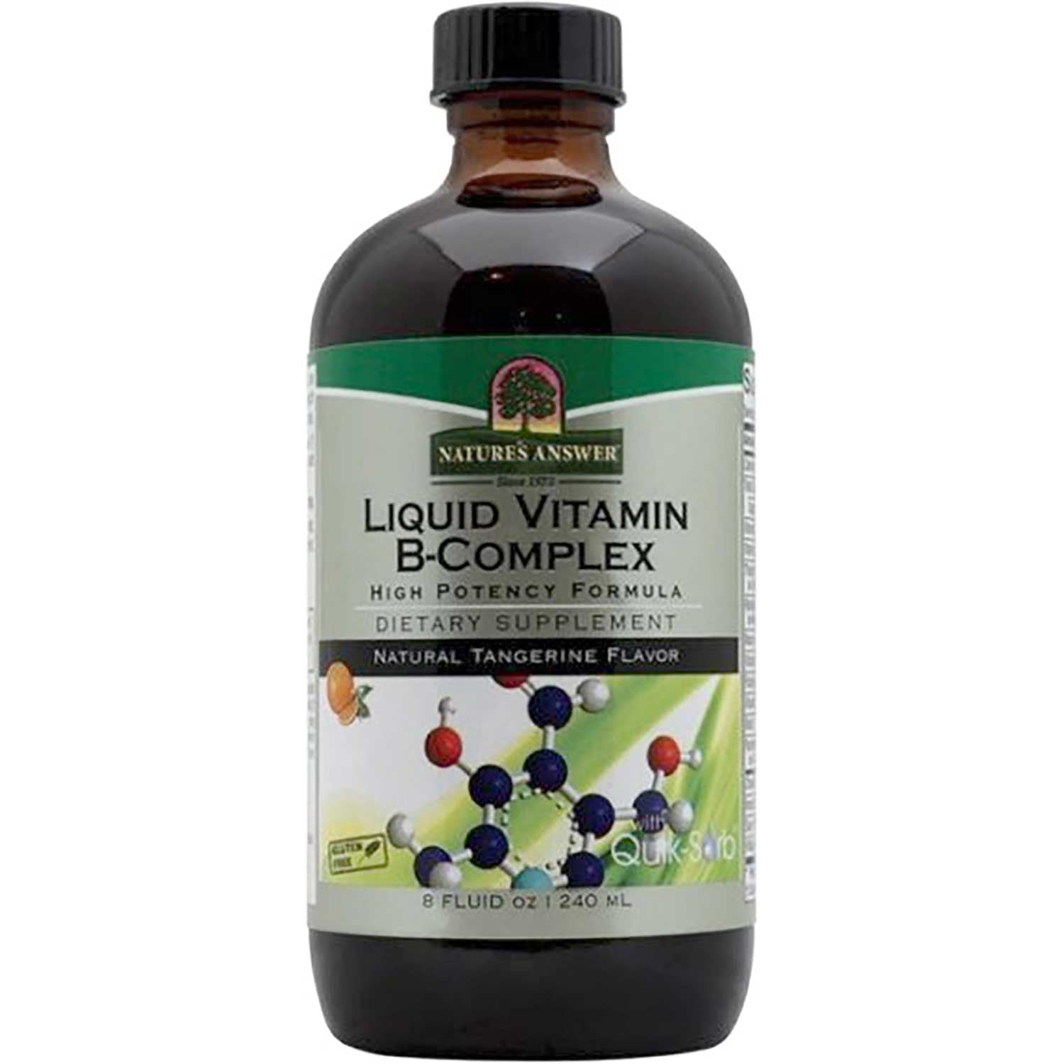 Nature's Answer Platinum Liquid Vitamin B Complex - Natural Tangerine Flavor, 240 ml.-NaturesWisdom