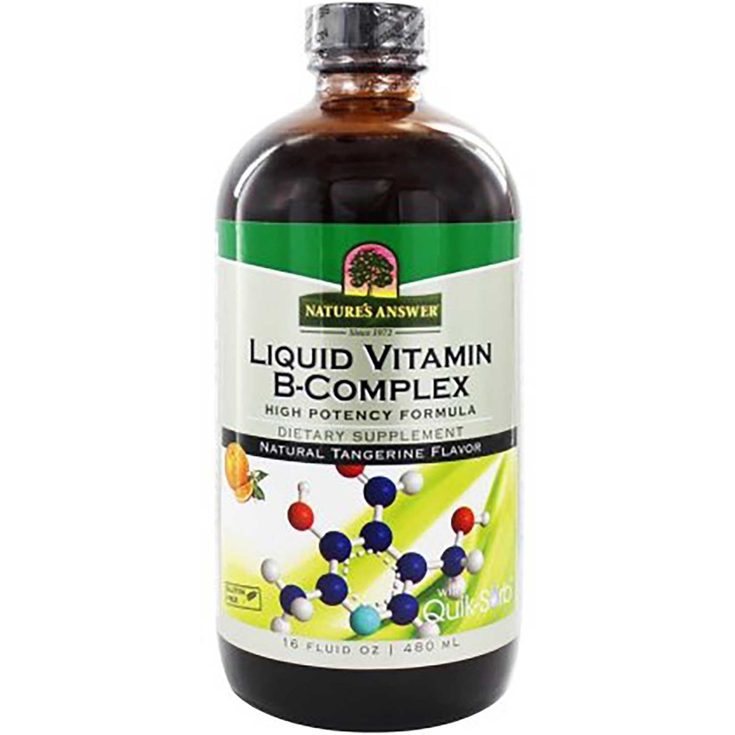Nature's Answer Platinum Liquid Vitamin B Complex - Natural Tangerine Flavor, 480 ml.-NaturesWisdom