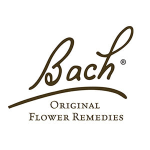Bach Original