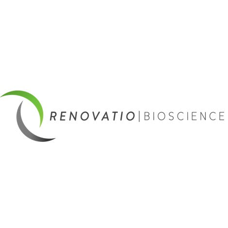 Renovatio